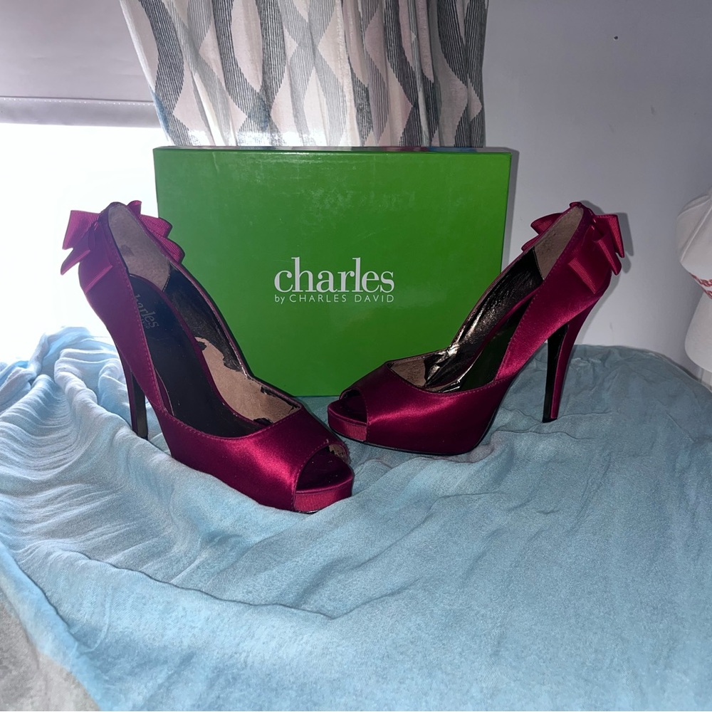 Charles by Charles David Women's Burgundy Heels